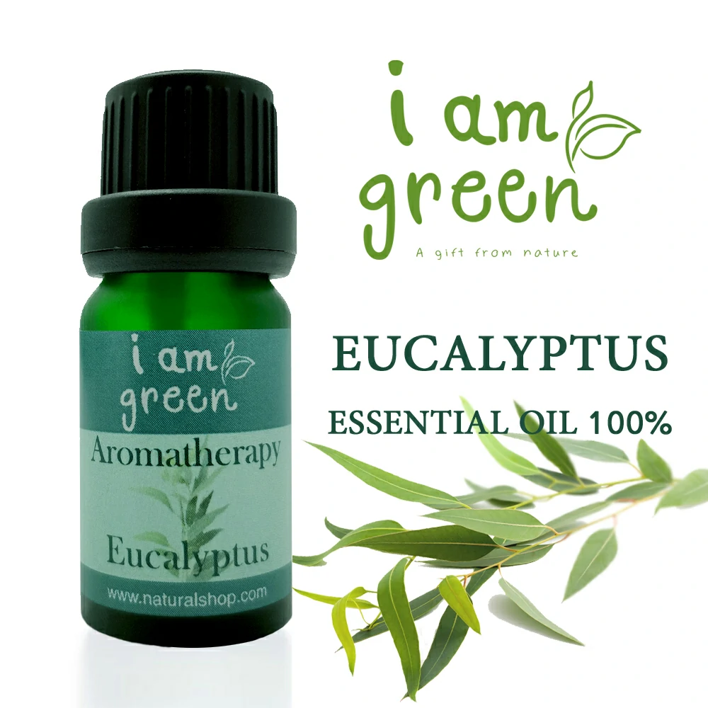 Eucalyptus3
